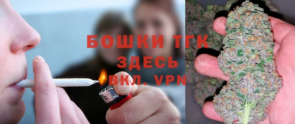 экстази Арсеньев