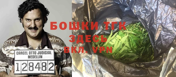 экстази Арсеньев