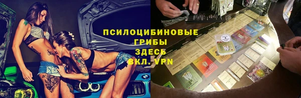 экстази Арсеньев