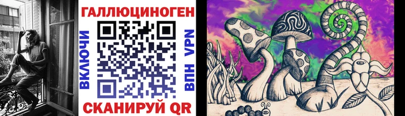 Галлюциногенные грибы GOLDEN TEACHER  Купить где  Вольск 